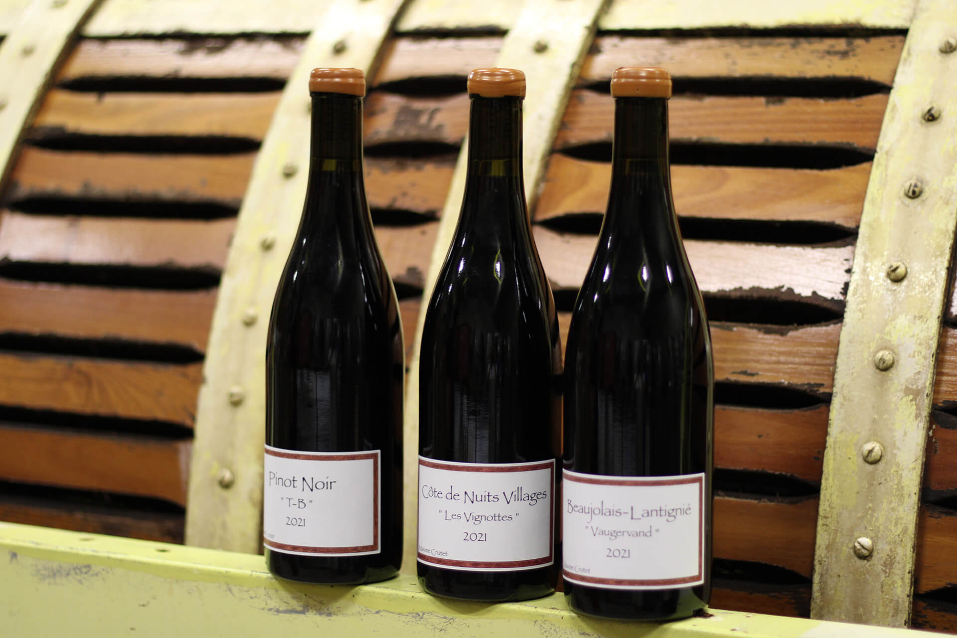 Présentation des vins de Maxime Crotet